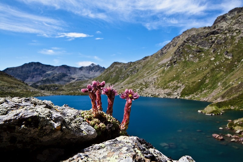 Parc Pirinenc de les Tres Nacions