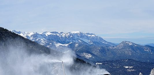 Masella