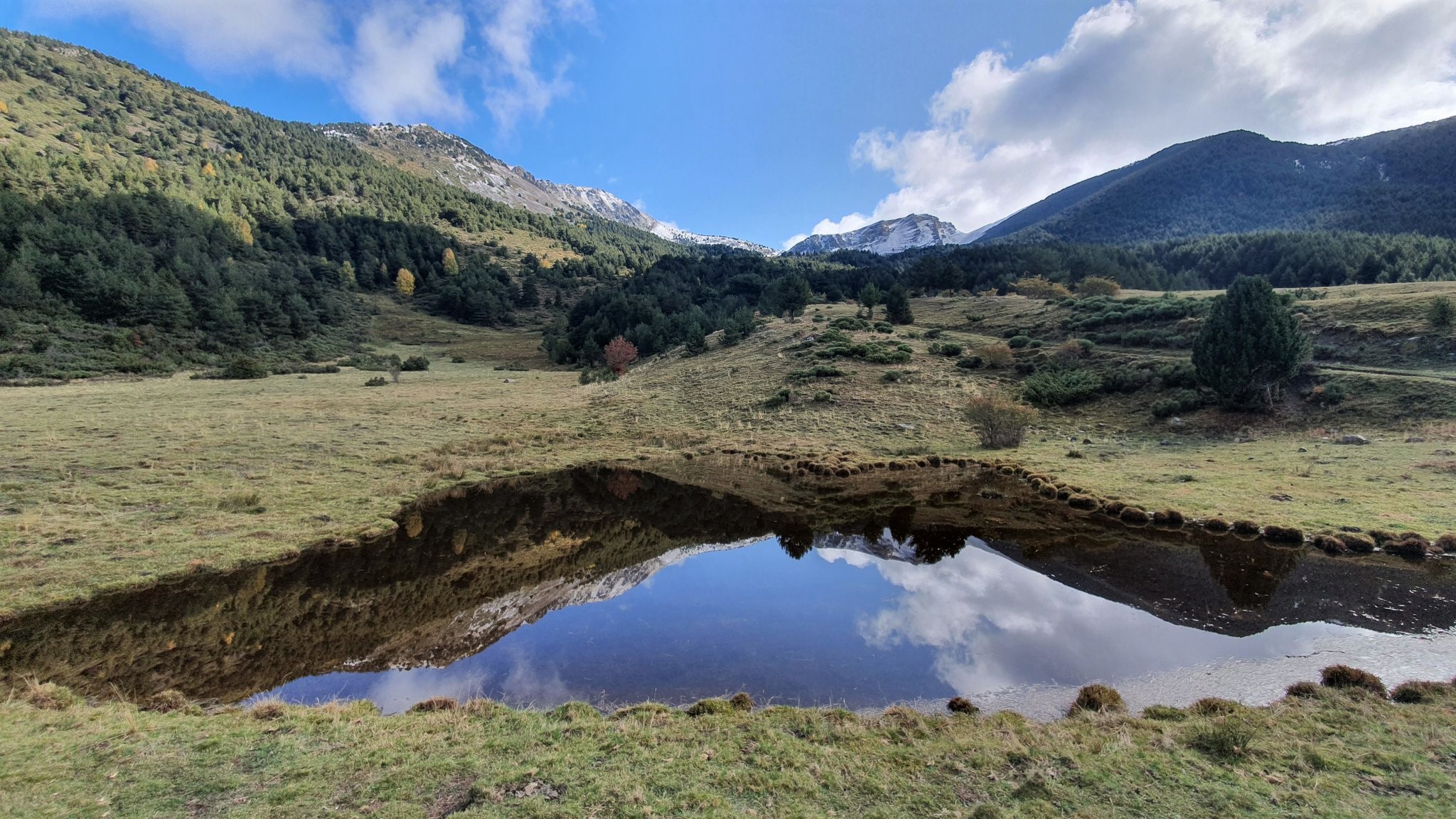 Parc Natural de l’Alt Pirineu cambio climático