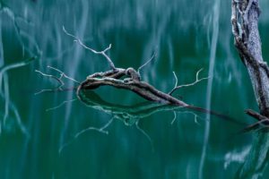 fotógrafo Víctor Bigas fotografía contemplativa