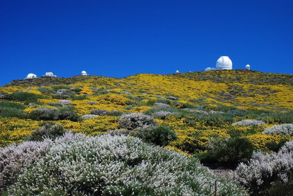 Isla de la Palma