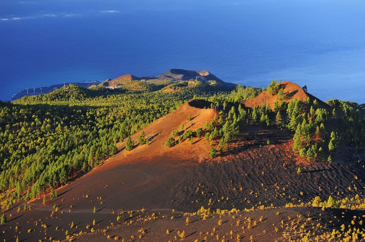 Isla de la Palma
