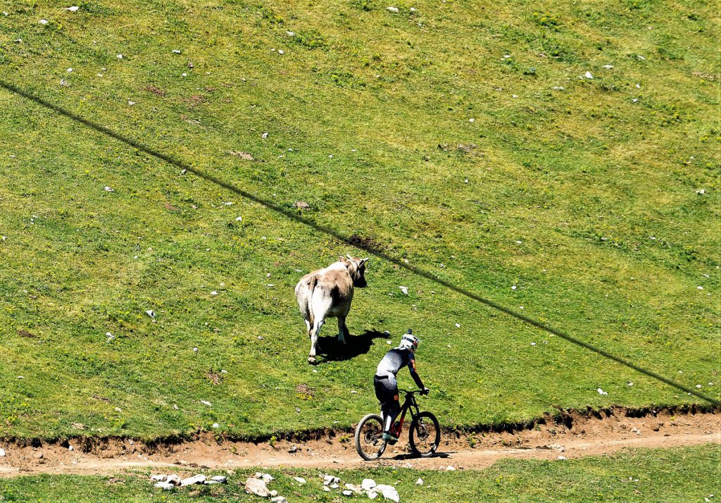 La Molina desafíos montaña estaciones FGC