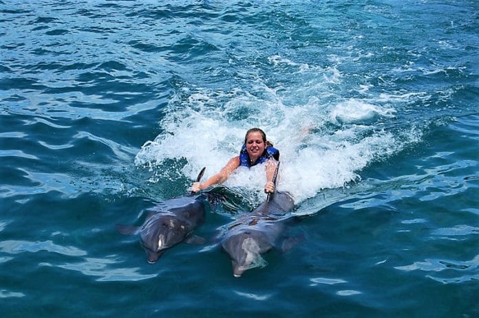 Cancún nadar delfines Isla Mujeres