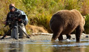 online del Festival de Cine de Montaña de Torelló
