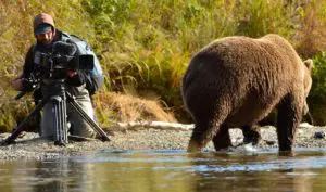 online del Festival de Cine de Montaña de Torelló