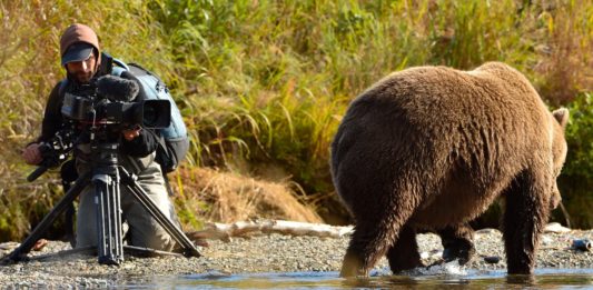 online del Festival de Cine de Montaña de Torelló