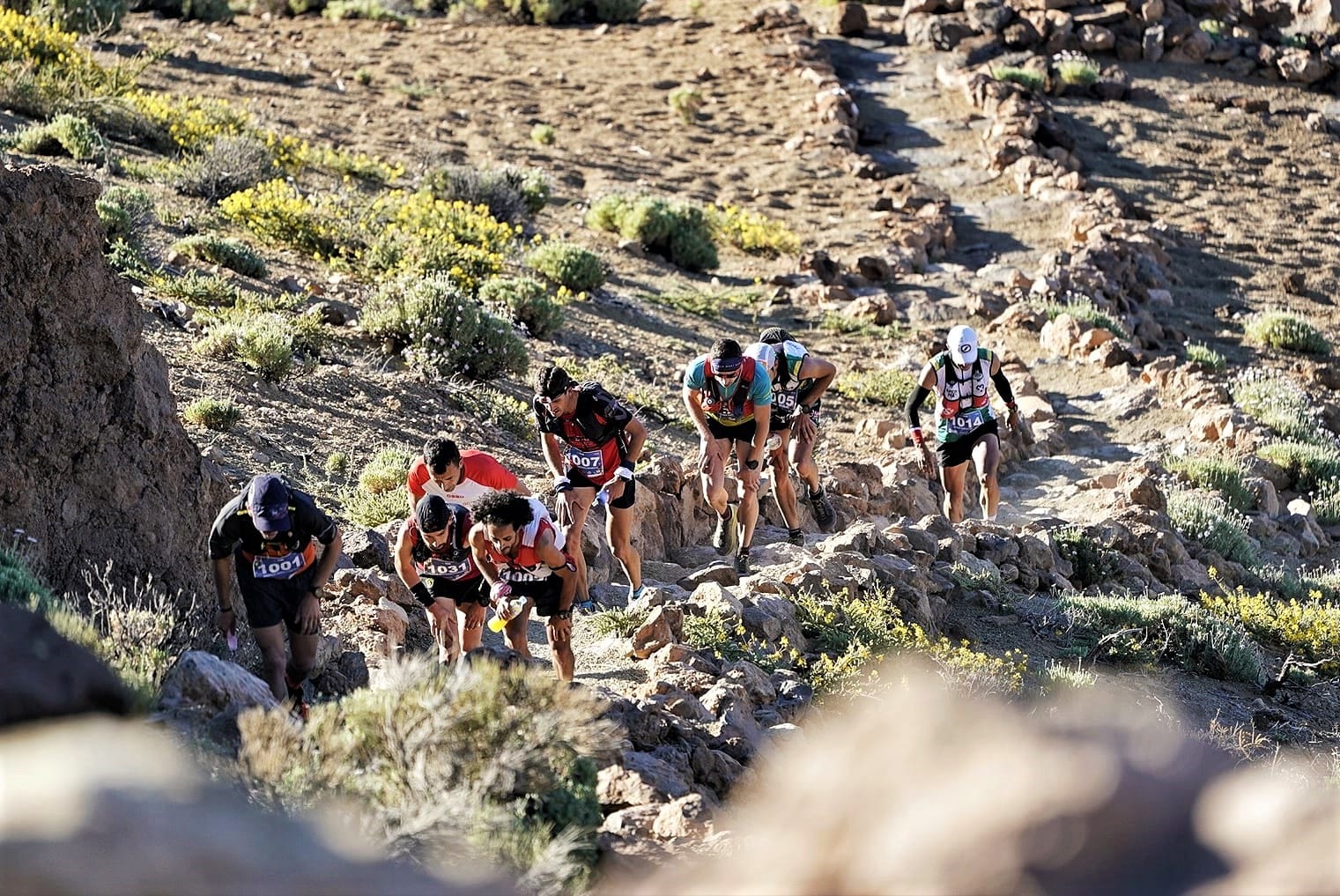 Andreu Simón Tenerife Blue Trail