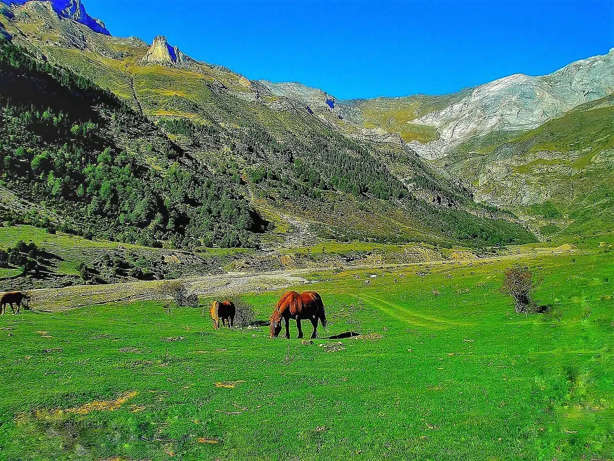 Llanos de Larri Valle de Pineta 