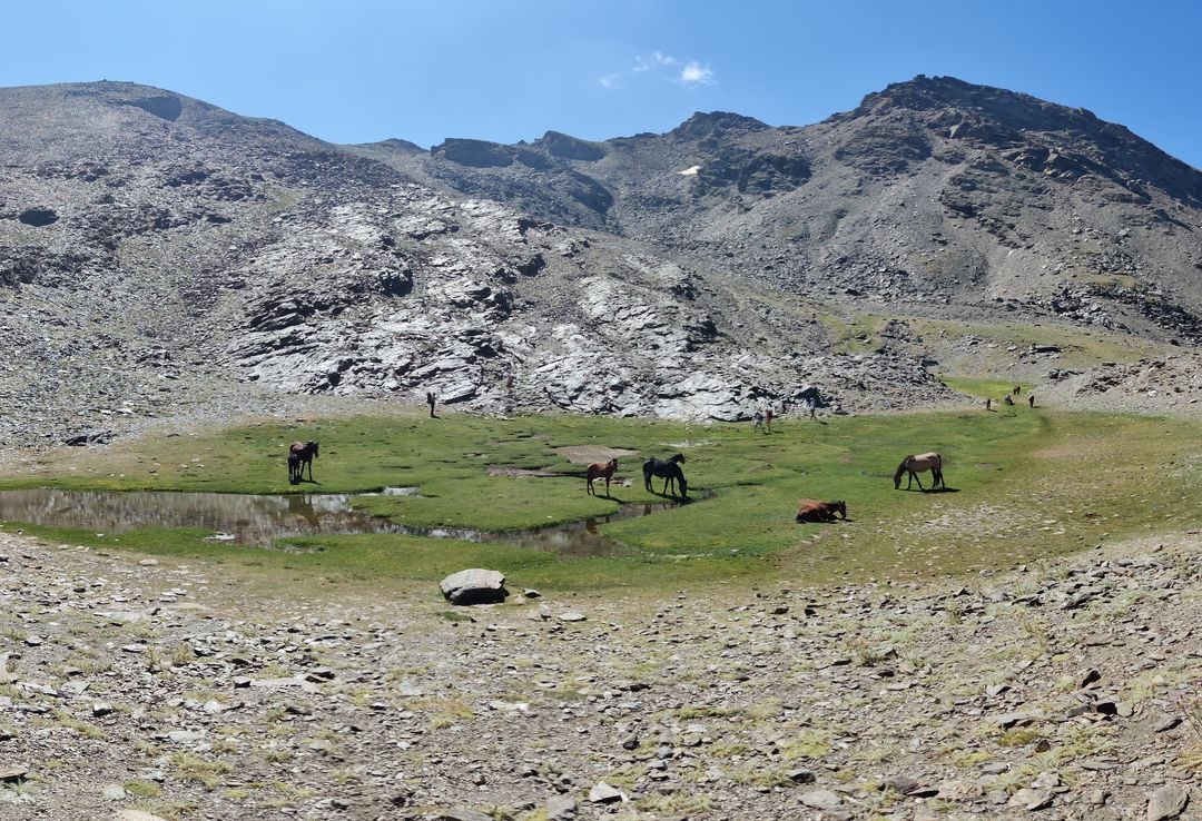 Sierra Nevada senderismo 