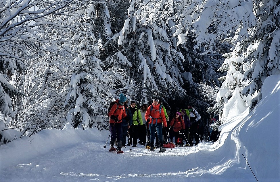 Sierra Nevada raquetas de nieve 