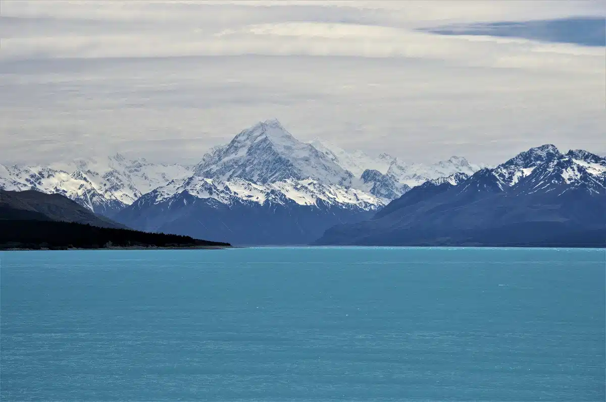 Nueva Zelanda o