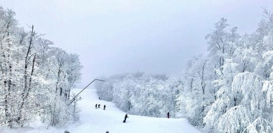 W Verbier Infinity Jacket Helly Hansen