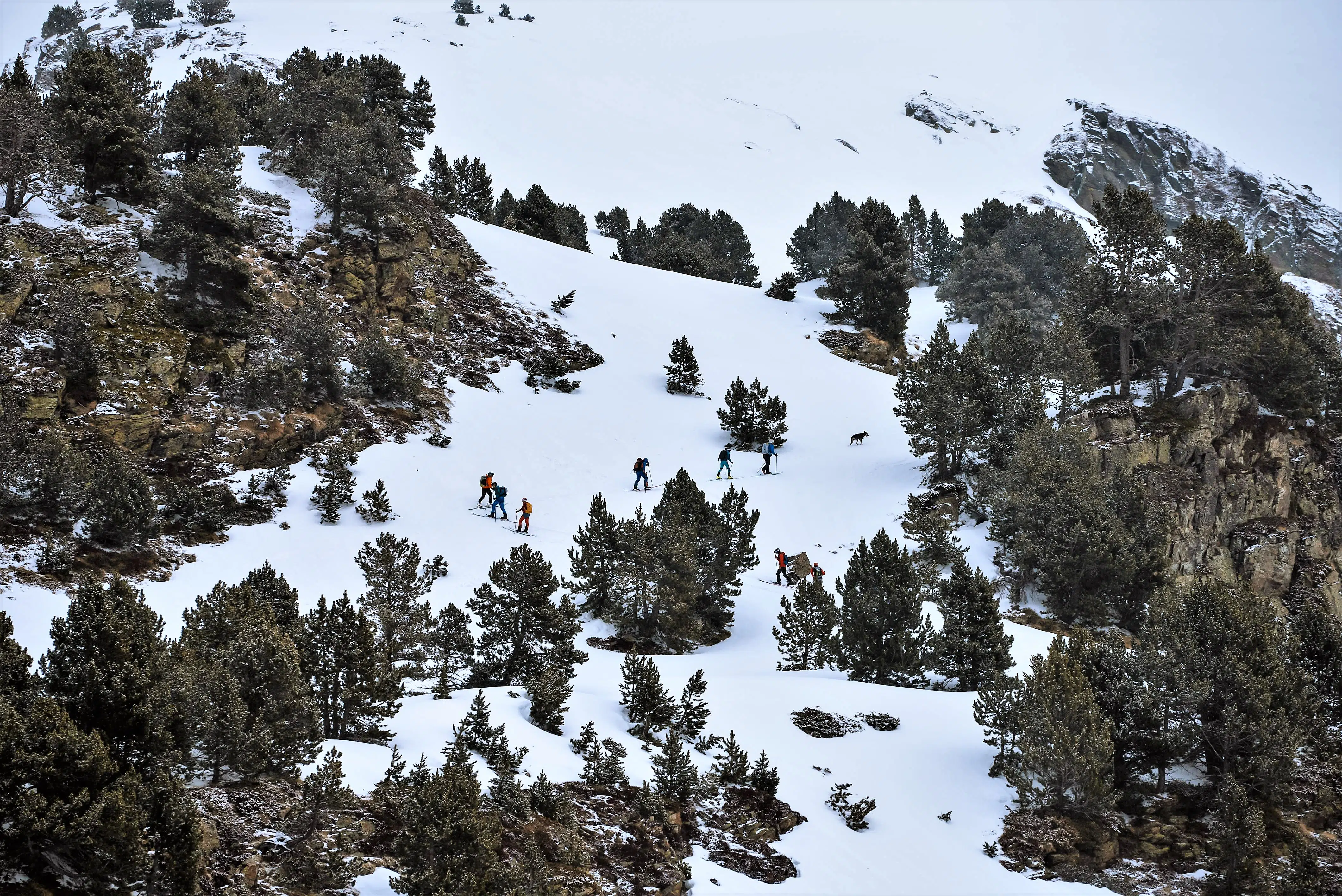 Grandvalira Skimo Camp by Gore-Tex 