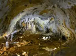 Cuevas Urdax