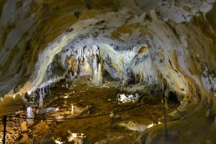 Cuevas Urdax