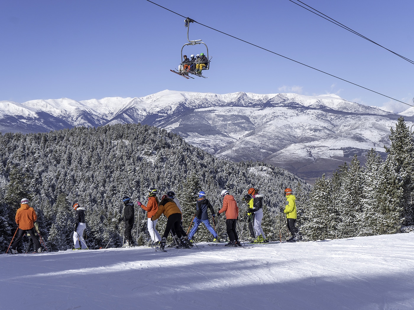 Masella