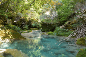Reserva Natural “Nacedero del Urederra”