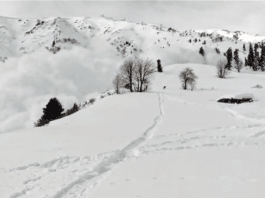 Gulmarg ski