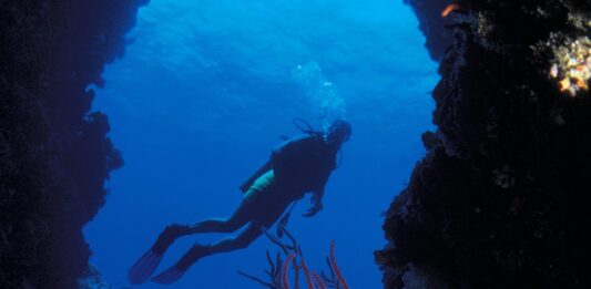 submarinismo Gran Canaria