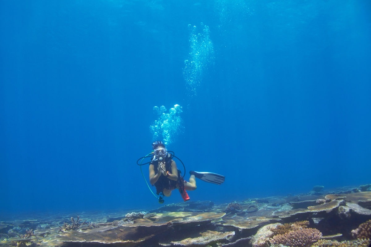 Buceo Gran Canaria