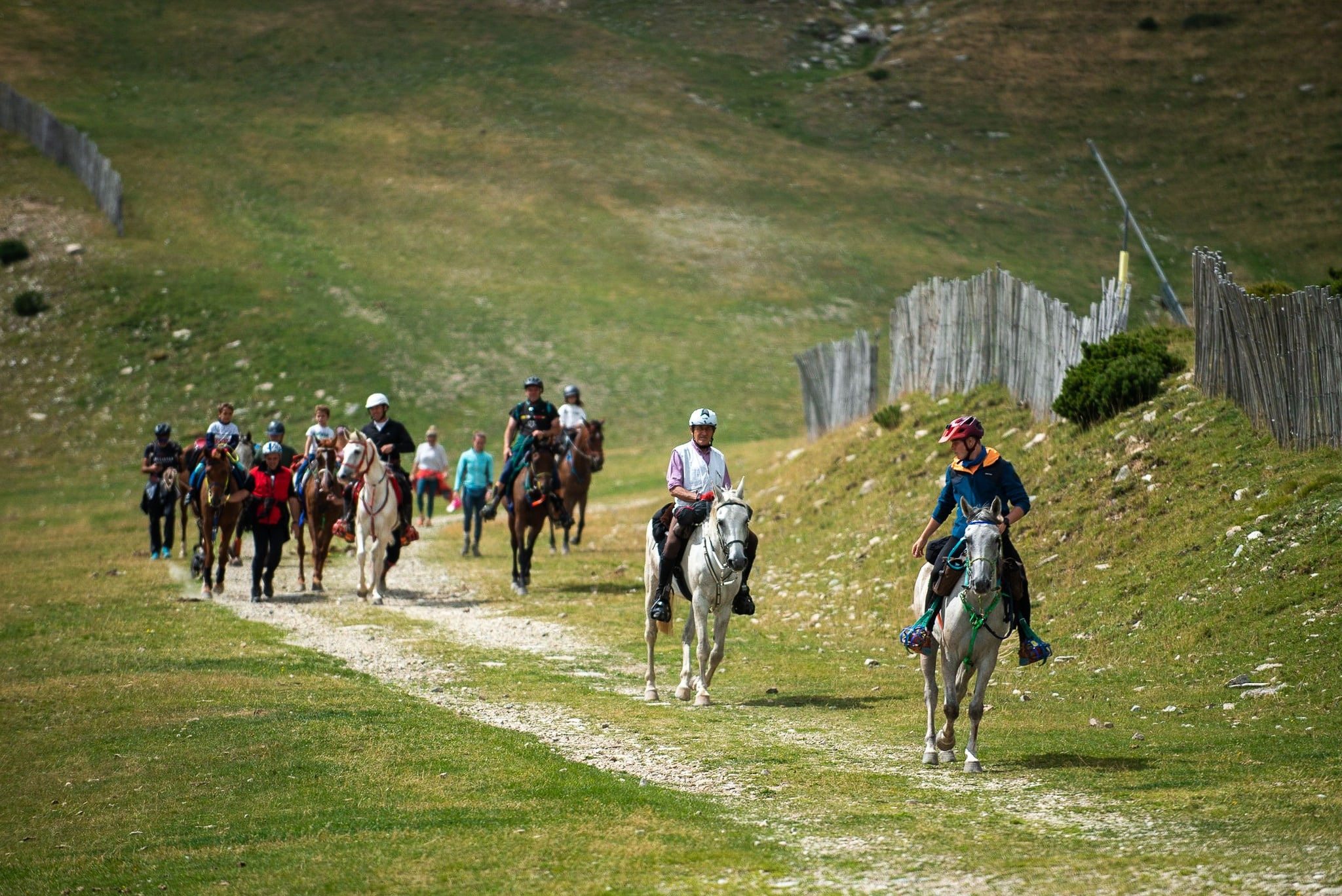 Vallter