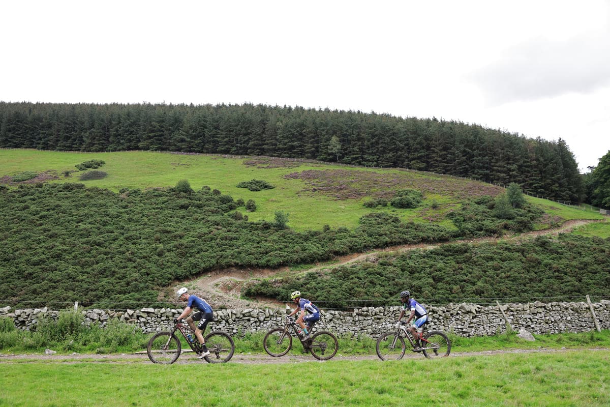 Glentress Forest