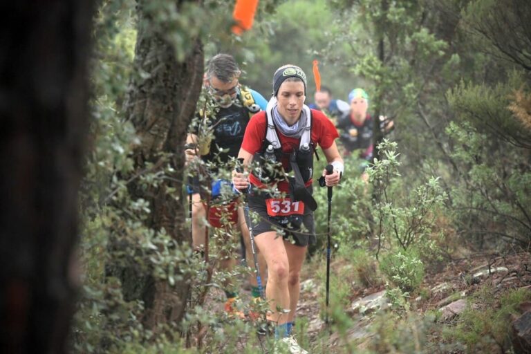 Marató dels Dements
