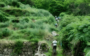 Blue Trail Tenerife