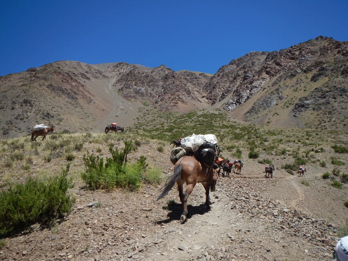 Aconcagua