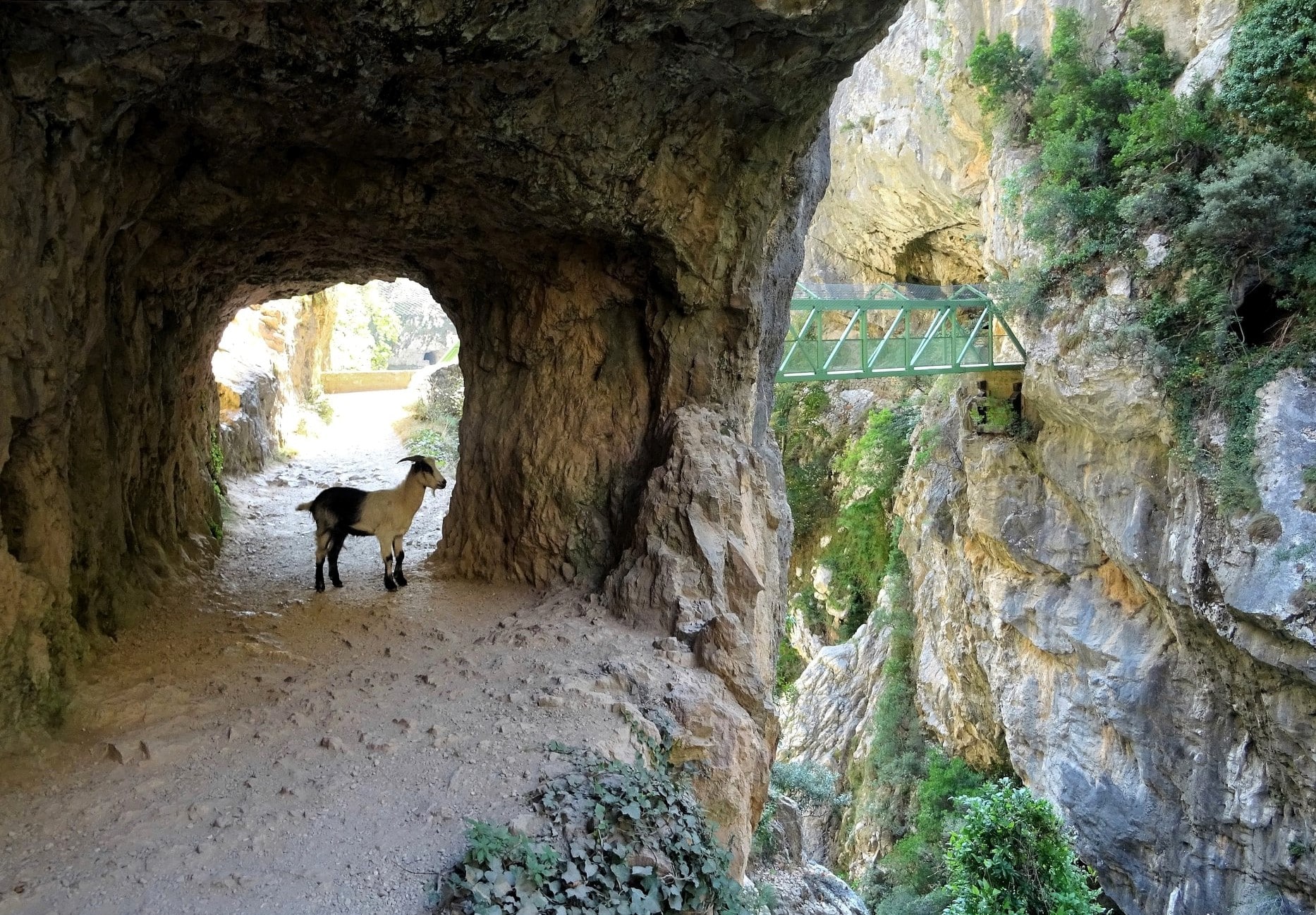 Puente de los Rebecos