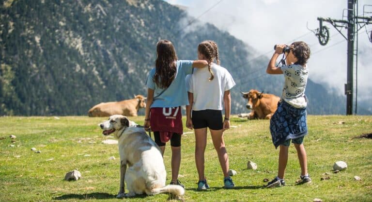 Vallter verano