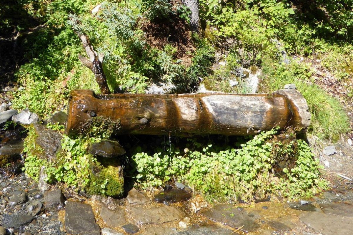 Fuente de Coronas