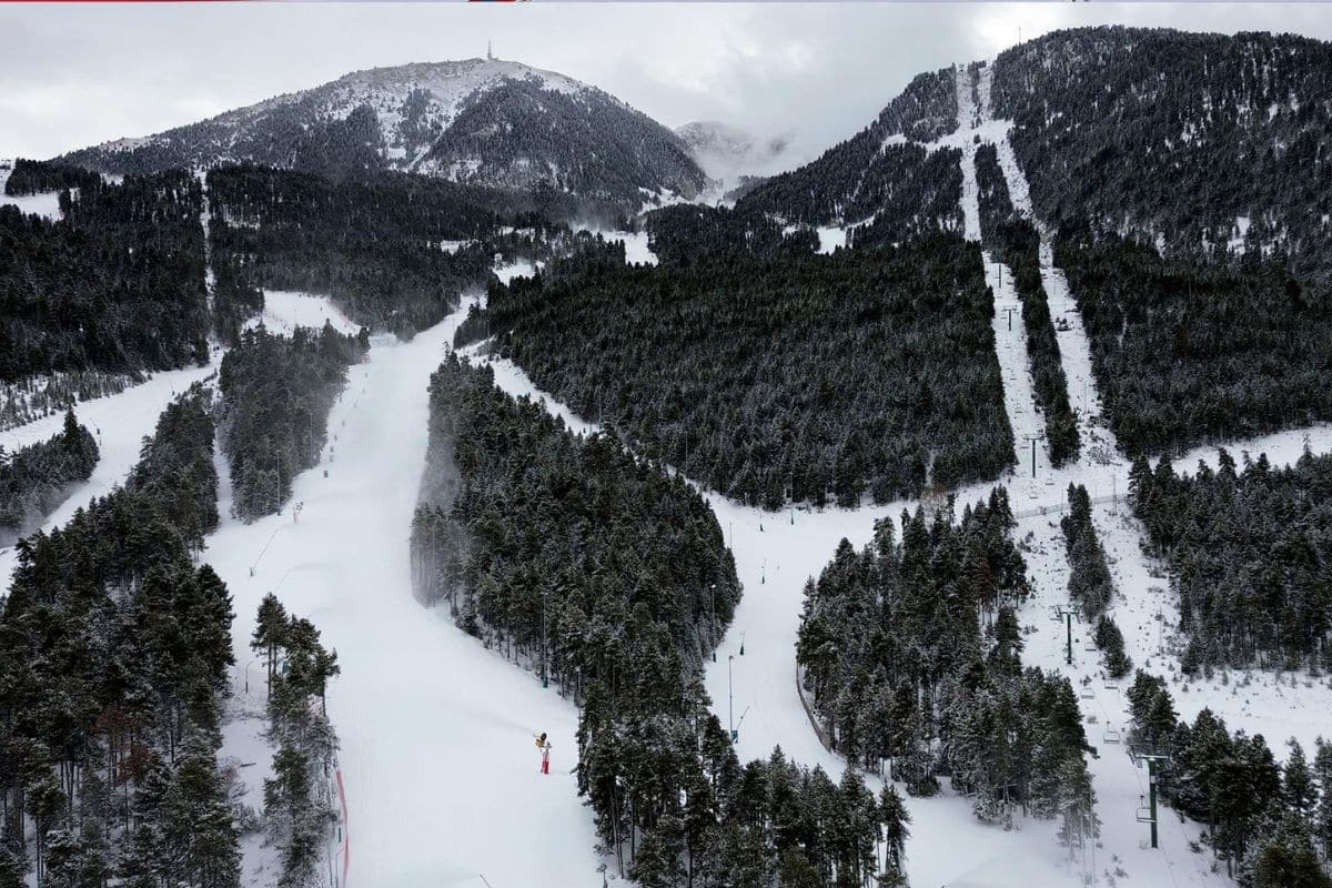 Masella