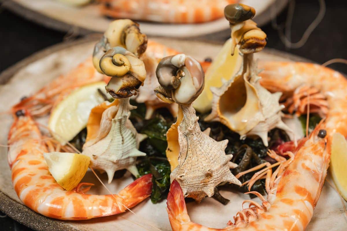 busanos o cañaillas y langostinos protagonizan una de las exquisitas degustaciones del Snow Club Gourmet.