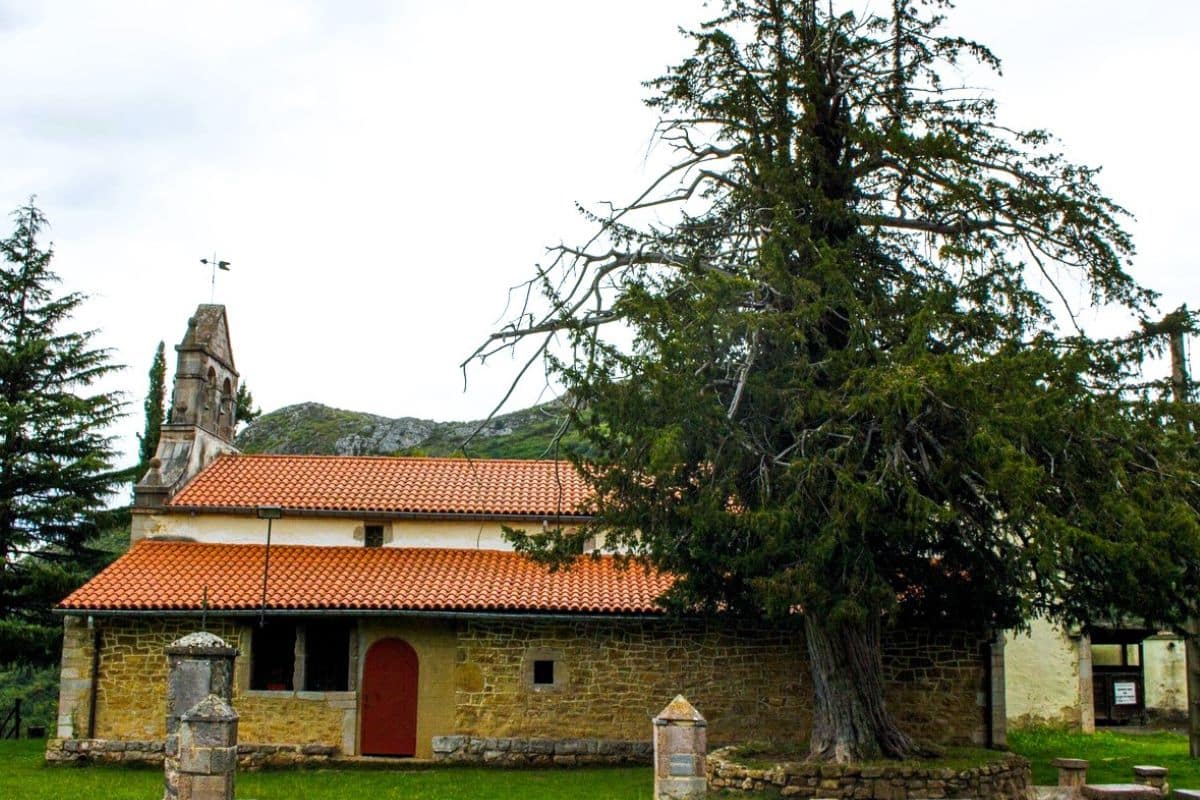Ermita de San Antonio de Padua en Pedroveya
