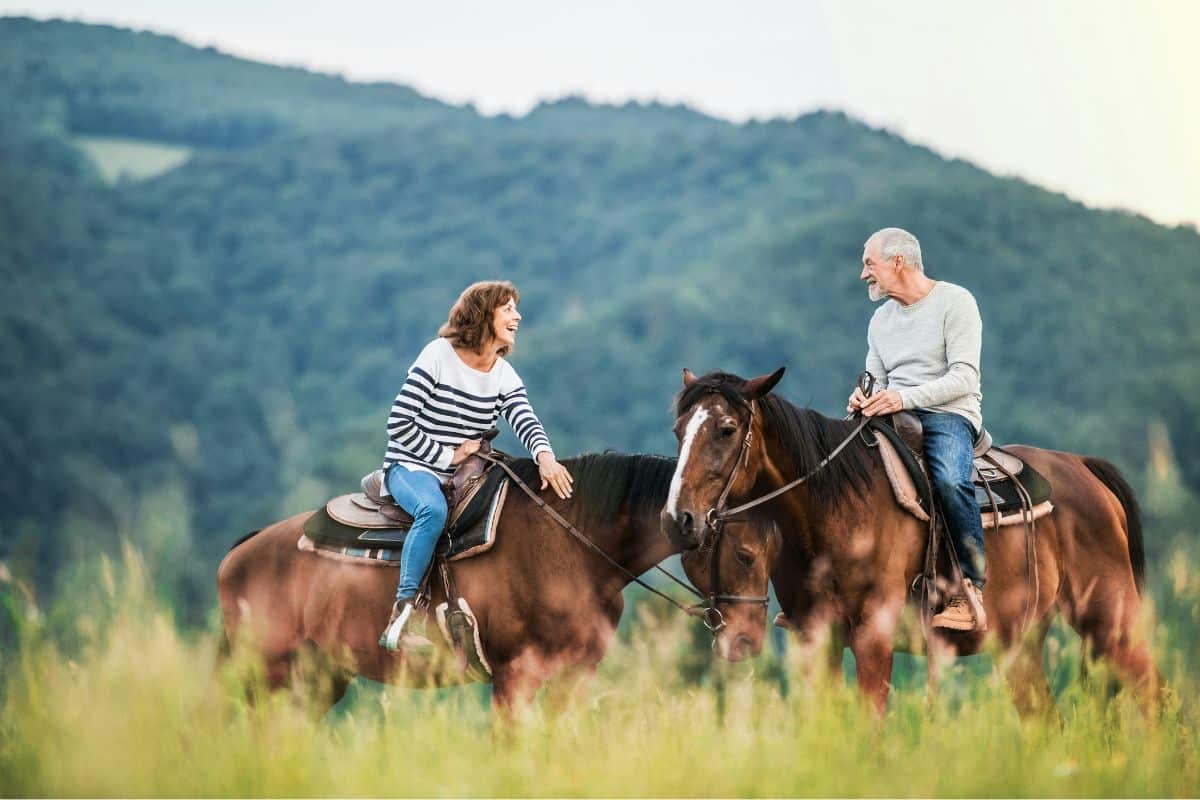 Equipamento caballo
