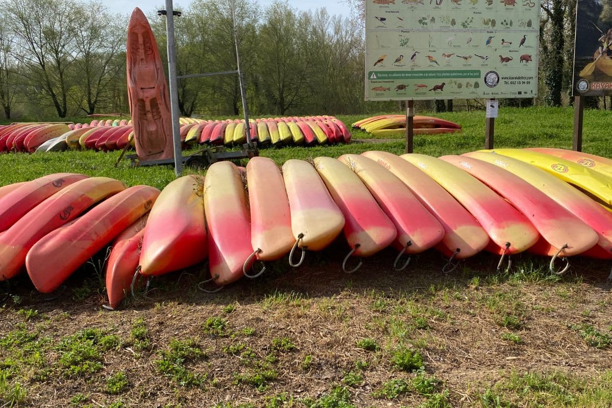 kayaks