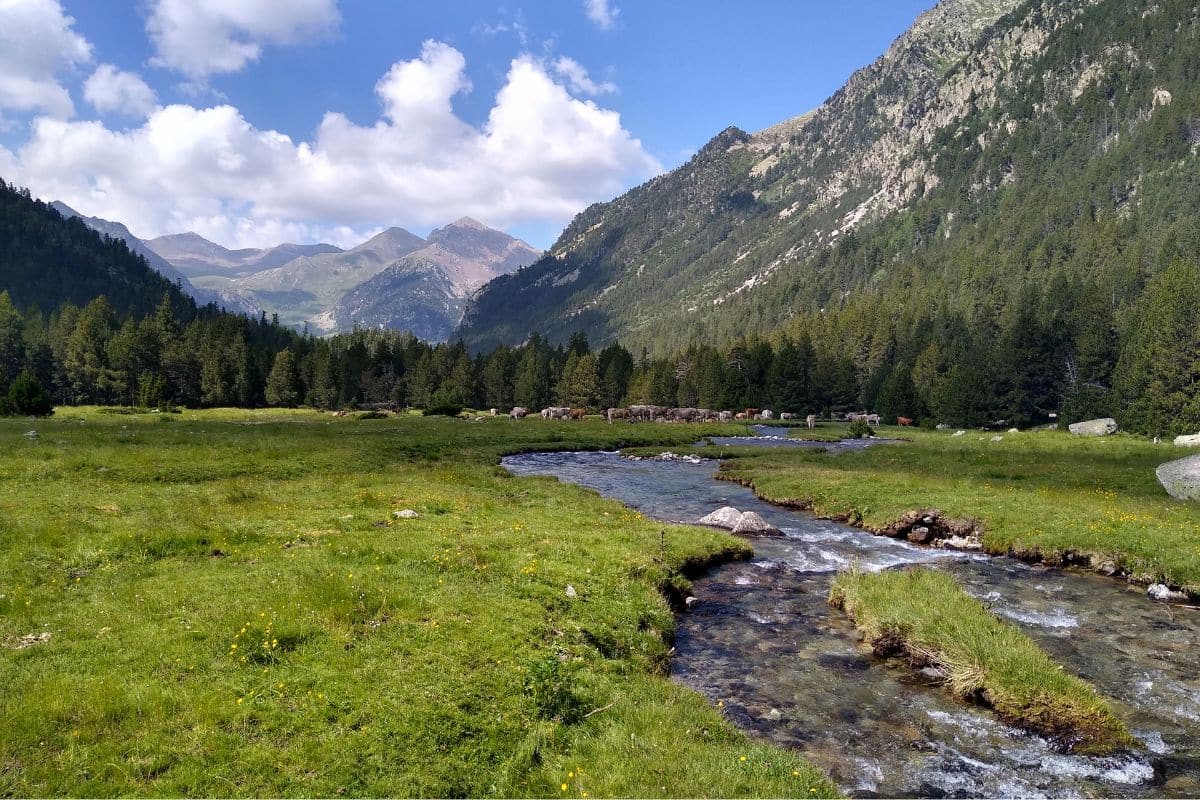 Los aiguamolls de Aigüestortes