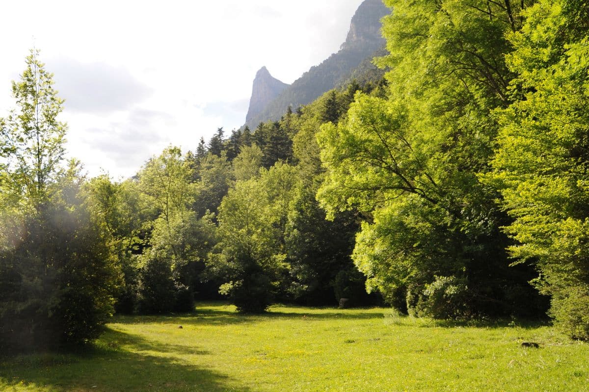 Pradera de Ordesa