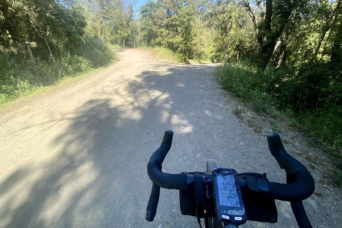 ruta Collserola_Galliners