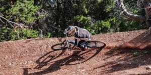 Campeonato de España de descenso 2025