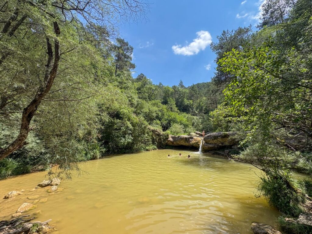 gorg de l'olla