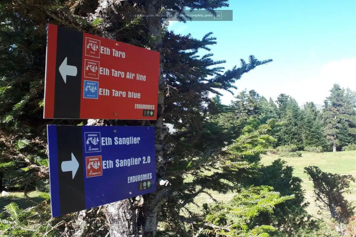 Ruta Pruedo–Montcasau