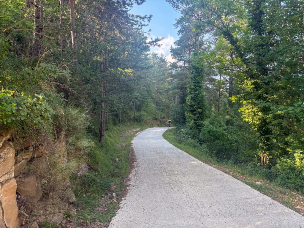 pista forestal 7 gorgs