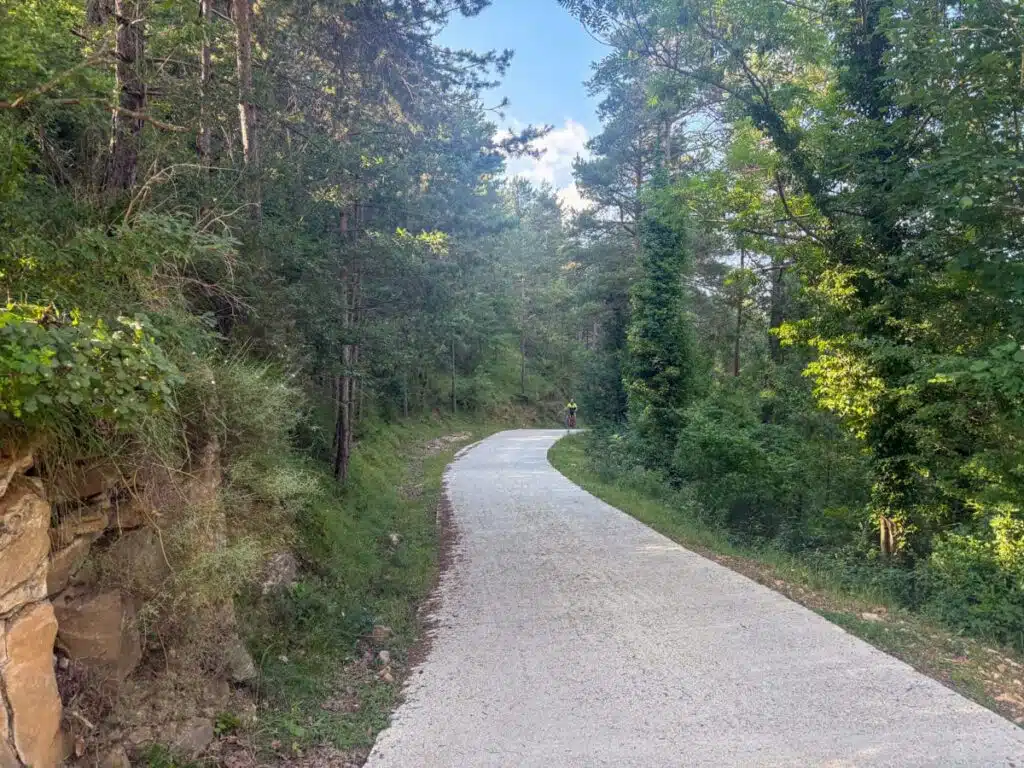 pista forestal 7 gorgs