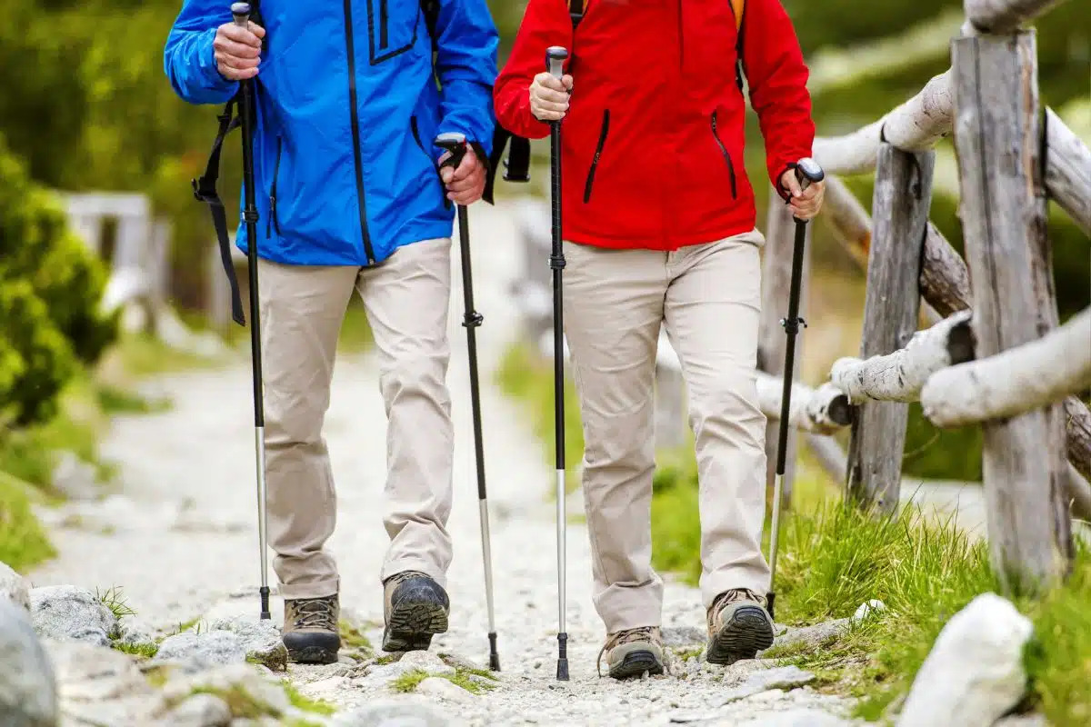 Bastones senderismo