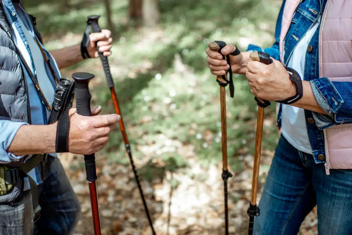 bastones excursionismo