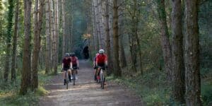 La ruta Pedal de Fil i Carbó