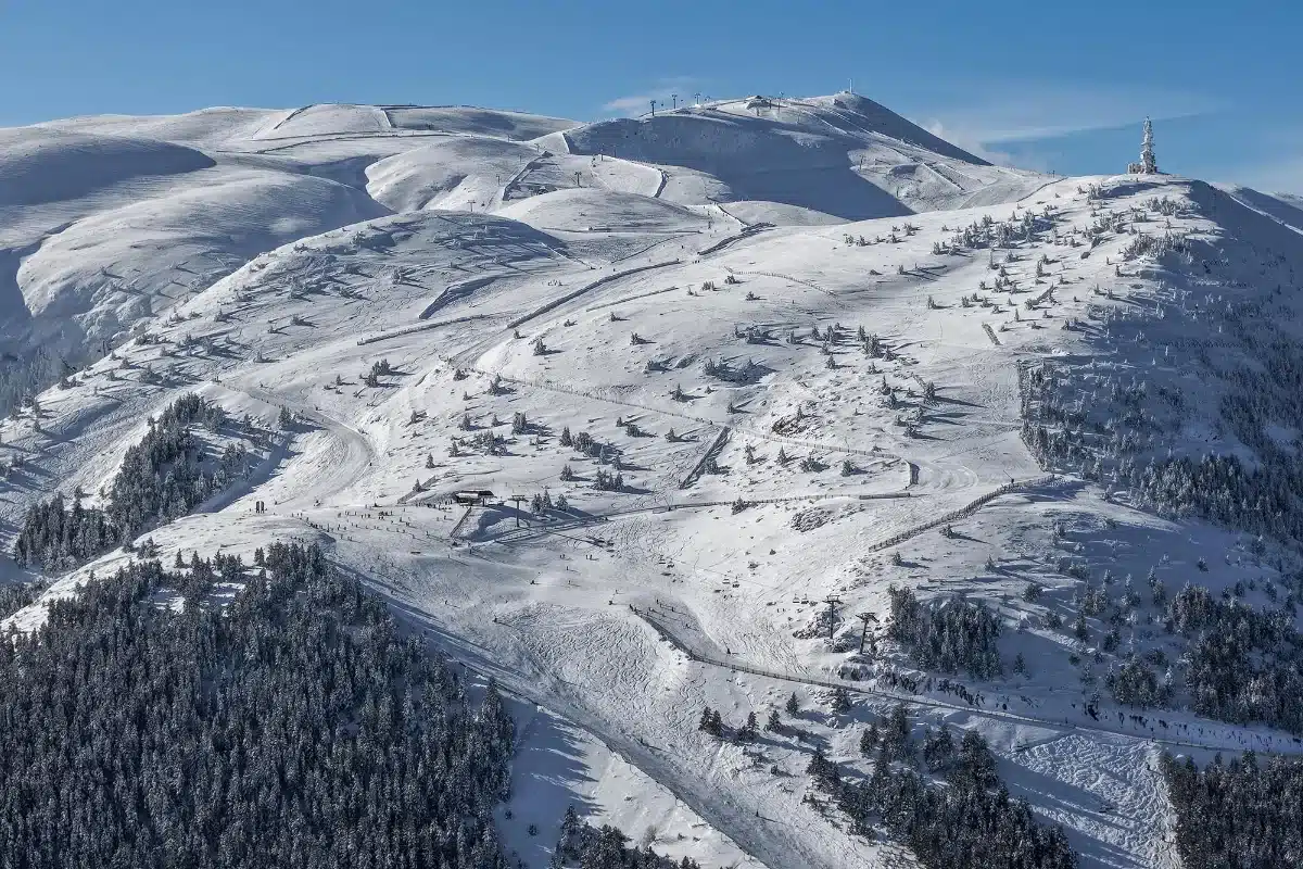 Masella 